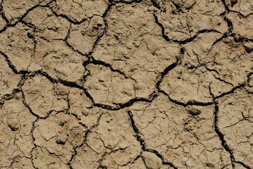 bare earth just soil and dirt