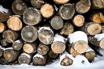 Detail closeup of pile of logs stacked up in deep snow - textural design element - winter aesthetic