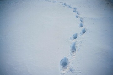 footprints in deep snow - winter vibes