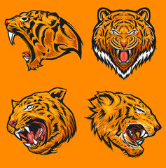 tiger head vector illustration