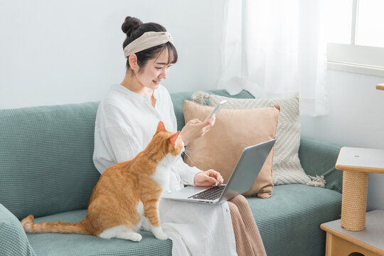 家で猫と一緒にテレワーク・リモートワークする女性（パソコン・スマホ）
