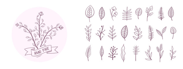 Set collection plants flowers and leaves hand drawn vector. Drawing beautiful creeper leaves, decorative set with flowers and leafs