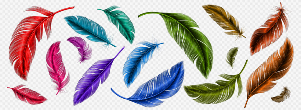 Fototapeta Color feathers, soft bird plumage isolated on transparent background. Red, pink, blue and green fluffy lightweight quills, bright colored feathers, vector realistic illustration