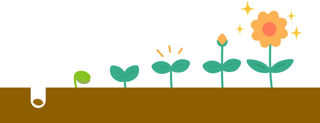種から花へ段階的に成長する植物のイラストト