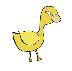 Drawing angry duck isolate vector 