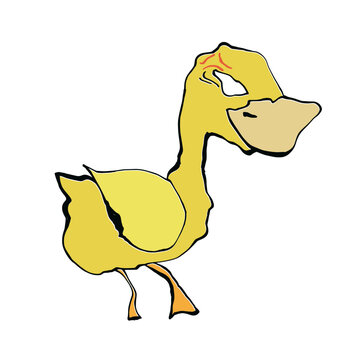 Drawing angry duck isolate vector 
