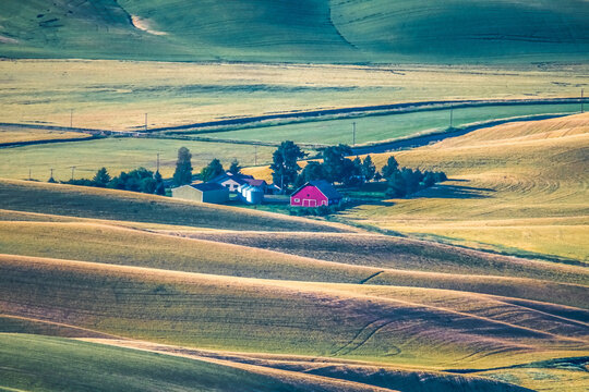 landscape scenes in palouse washington