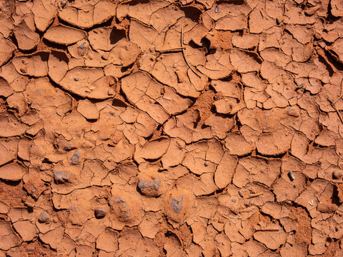 parched earth cracked dried mud