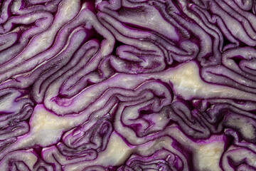Background of blue cabbage in a section, macro photography. Closeup, top view. Texture and pattern of raw purple cabbage