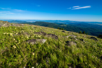 Naklejka premium Beautiful scenic nature views at spokane mountain in washington state