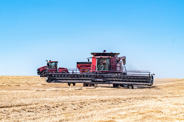 harvesting crops on palouse washington wheat fields in summer