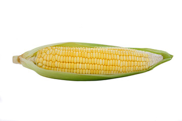 half peeled corn cob isolated on a white background