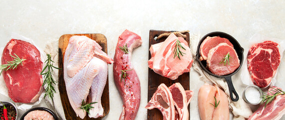 Assortment of raw meats on grey background.