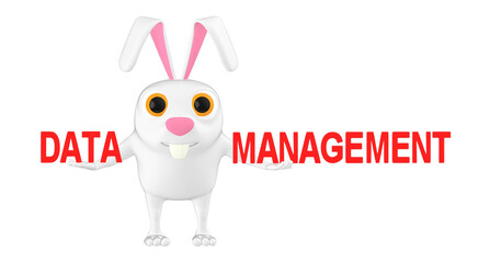 3d character , rabbit and data managment text