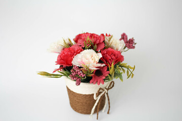 a Beautiful Blooming Flower in White Background
