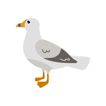Cute comic gull, Atlantic bird over white background. Seagull cartoon character flat vector illustration. Nature, animals, wildlife concept