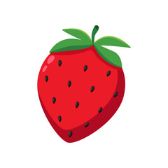 Strawberry vector illustration. Drawing of strawberry. Summer holiday, decoration, nature, paradise, food concept for greeting card
