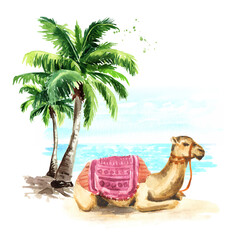 Camel resting on the seaside. Hand drawn watercolor illustration isolated on white background