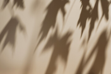 Abstract diagonal tree leaves shadows on solid beige wall texture. Abstract trendy colored nature concept background. Copy space for text overlay, poster mockup, flat lay, top view