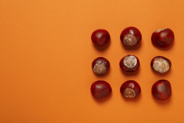 Fresh and ripe chestnuts, space for text
