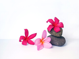 Fototapeta na wymiar Pebbles with Bali flowers. Template for spa salon, cosmetic, massage advertising