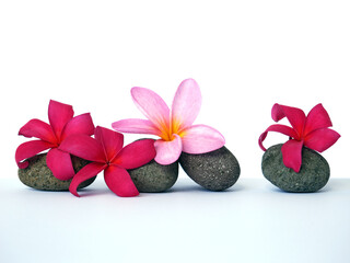 Obraz na płótnie Canvas Pebbles with Bali flowers. Template for spa salon, cosmetic, massage advertising