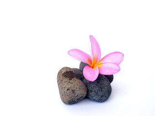 Fototapeta na wymiar Pebbles with Bali flower. Template for spa salon, cosmetic, massage advertising