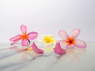 Paradise spa flowers isolated on a white marble surface
