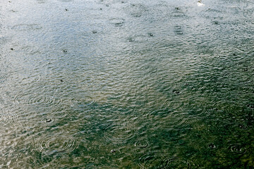 Rainfall or rainy weather. Raindrop circles on the water surface.