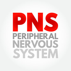 PNS Peripheral Nervous System - responsible for relaying information between your body and brain, acronym text concept background