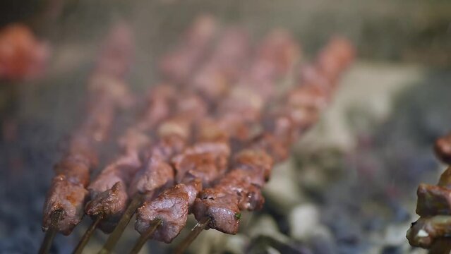 Meats cooked in wood fire, Ocakbaşı