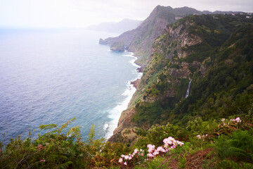Beautiful landscape with sea and cliffs, pink lilly flowers and waterfall in Quinta do Furao, Santana, Madeira, Portugal.