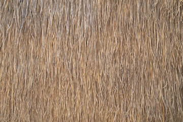 Close up of hay straw dry grass surface in rural countryside. Nature pattern texture background.