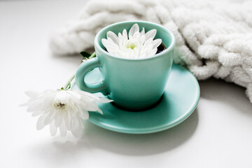 Obraz na płótnie Canvas turquoise cup with tea or coffee and white chrysanthemum flower on a white background. a bouquet of flowers and a white blanket. spring concept. flat lay. top view. copy space