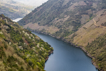 Naklejka na ściany i meble Contrasts in the canyon of the immense Sil river covered with thick forests and vineyard terraces. Ribeira Sacra. To Teixeira. Ourense