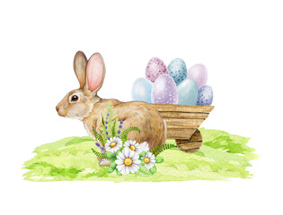 Easter bunny with colored eggs, flowers on the green grass. Watercolor illustration. Cute rabbit with daisy flower, green leaves, painted eggs decor. Easter bunny on the green grass with flowers