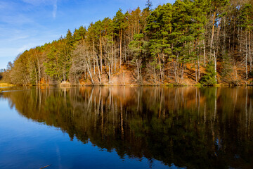 Autumn trees at the lakeshore