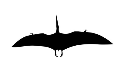 silhouette of a pterosaur on a white background
