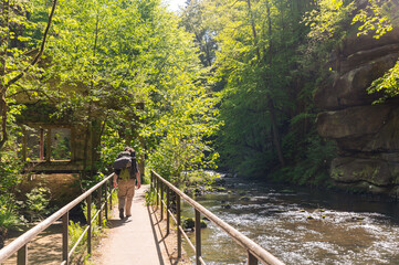 backpacker crossing bridge over river Wesenitz in the forest woods on a spring day in Liebethaler...