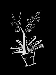 Drawing Flower in Pot .