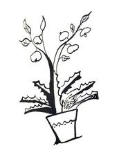 Drawing Flower in Pot .