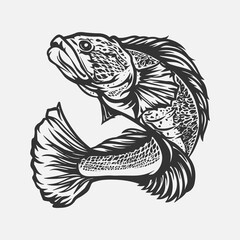 Easy to use isolated channa fish vector illustration with stunning details. best pet fish clip art. tropical country snakehead illustration