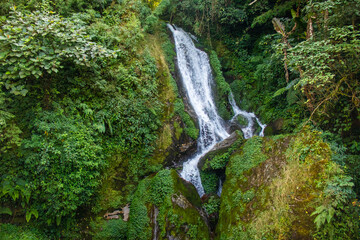 Waterfall surrounded by lush green foliage. 