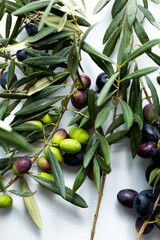 olives and olive branches on a white background.