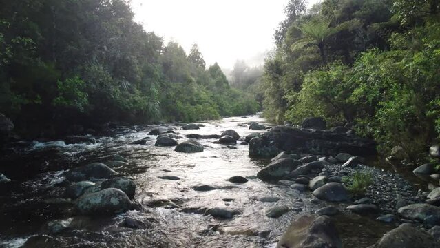 Ribeirinho Imagens Procure 488,518 fotos, vetores e vídeos Adobe Stock