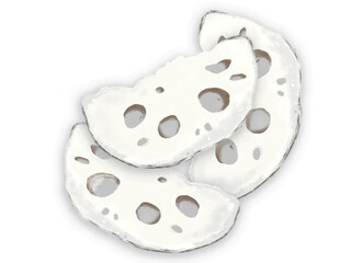 Fototapeta premium 日常の食品シリーズ 薄くスライスしたレンコン