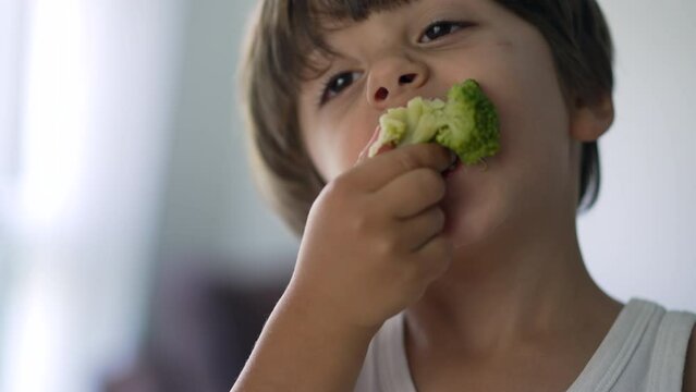 One small boy eating broccoli super food. Portrait of a child eats healthy vegetable for lunch with hand