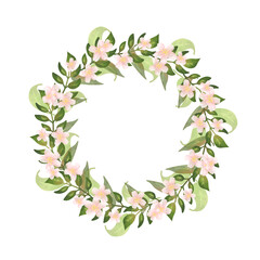  Botanical frame painted with watercolor