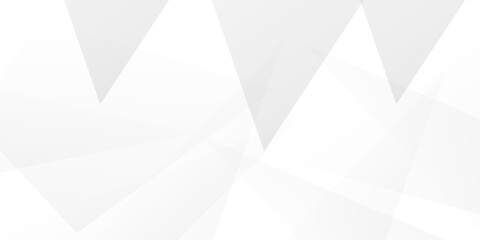 Abstract background with lines . Gray and white texture background  blank. white and gray paper triangle abstract background. white paper texture and bussniess ,card,flyer,brousher background.