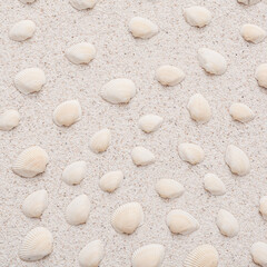Fototapeta na wymiar Summer minimalist pattern on a sand background with white brown sea shells - ideal for elegant branding identities - flat lay. Tropical vacation concept.